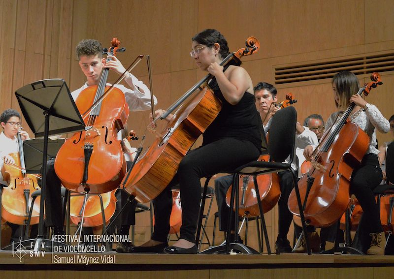 FIV León 2017